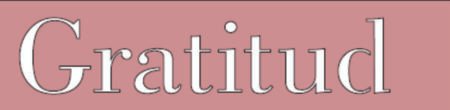 C0017 GRATITUD 5 X 20