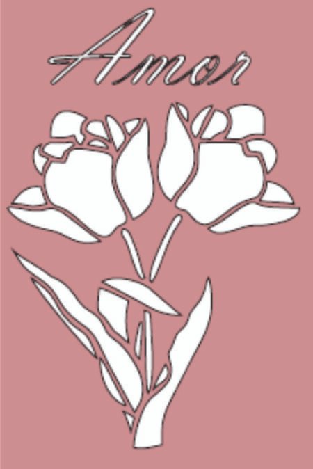 G080 AMAR ROSA 20 X 30