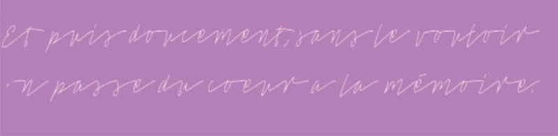 JT02 TEXTO ILEGIBLE 15 X 60