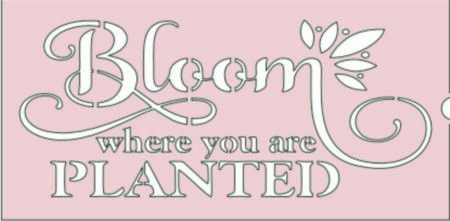 M010 BLOOM PLANTED 10 X 20