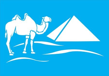 N0256 CAMELLO Y PIRAMIDE 20 X 30