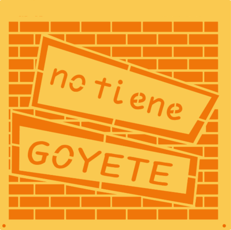 SB035 NO TIENE GOYETE 20 X 20