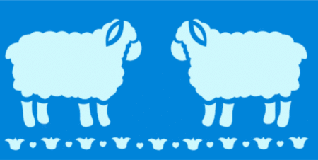 SC016 OVEJAS 10 X 20