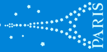 SC034 PARIS FLORES 10 X 20