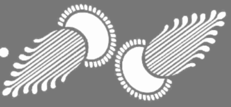 SC038 PLANTAS 10 X 20