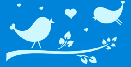 SC058 PAJAROS 10 X 20