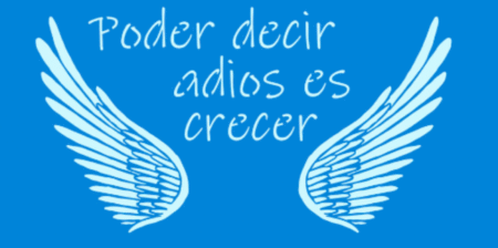 SC064 PODER DECIR ADIOS ES CRECER 10 X 20