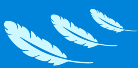 SC166 PLUMA DISTINTOS TAMANOS 10 X 20