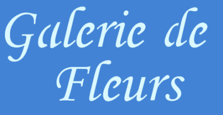 SC194 GALERIE DE FLEURS 10 X 20