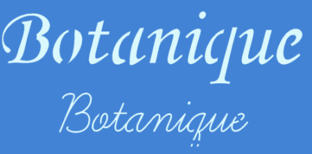 SC195 BOTANIQUE 10 X 20