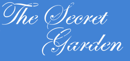 SC200 THE SECRET 10 X 20