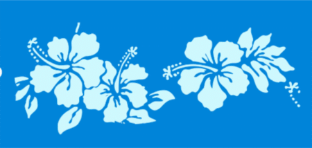 SC217 FLORES 10 X 20