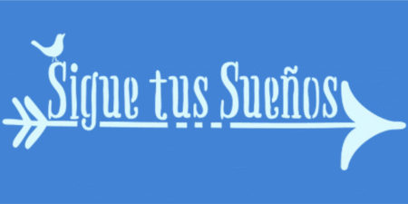 SC247 SIGUE TUS SUENOS 10 X 20