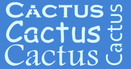 SC268 CACTUS 10 X 20