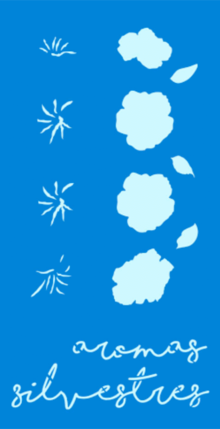 SC287 AROMA SILVESTRE 10 X 20