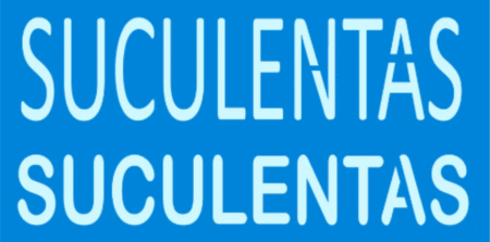 SC299 SUCULENTAS 10 X 20