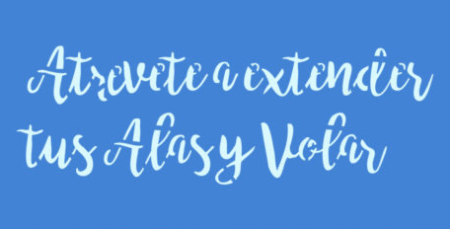 SC308 ATREVETE A EXTENDER 10 X 20