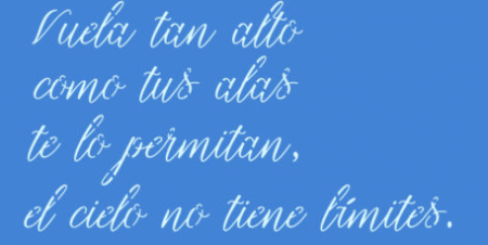 SC312 VUELA TAN ALTO 10 X 20