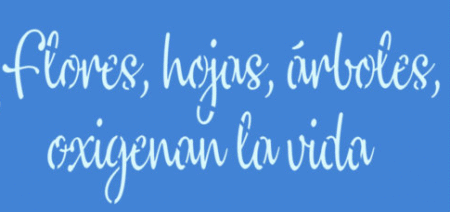 SC314 FLORES HOJAS ARBOLES 10 X 20