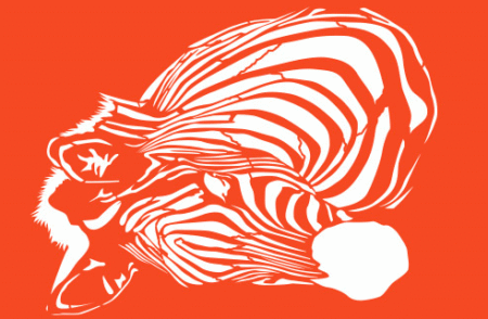 SGX096 CEBRA 30 X 40