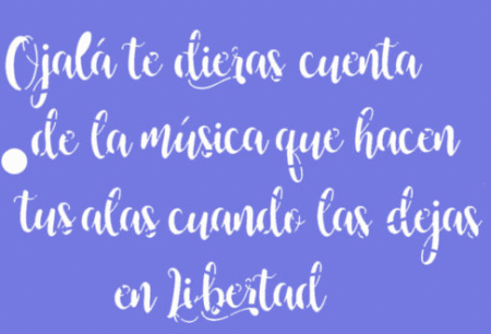 SH151 OJALA TE DIERAS 15 X 20