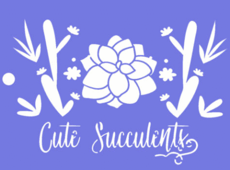 SH170 SUCULENTAS 15 X 20