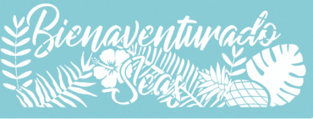 SL032 BIENAVENTURADO 15 X 40