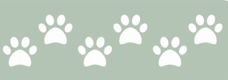 ST009 HUELLITAS 5 X 20