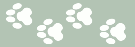 ST010 HUELLITAS 5 X 20