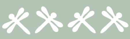 ST012 LIBELULA 5 X 20