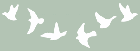 ST033 PALOMAS 5 X 20