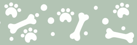 ST047 HUELLAS 5 X 20