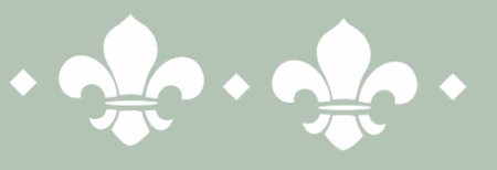 ST122 ARABESCOS 5 X 20