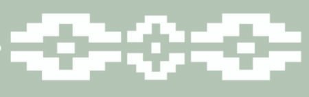 ST134 GUARDA PAMPA 5 X 20