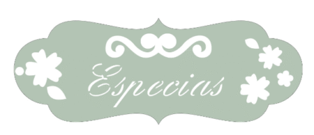 ST153 ESPECIAS 5 X 20