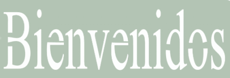 ST157 BIENVENIDOS 5 X 20