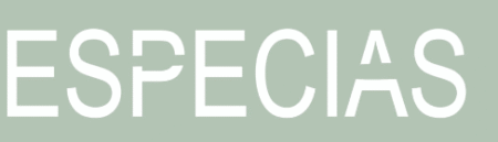 ST158 ESPECIAS 5 X 20