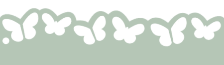 ST161 MARIPOSA 5 X 20