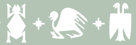 ST165 PAJAROS 5 X 20