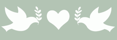 ST232 PALOMAS 5 X 20