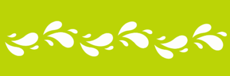 SW011 GUARDA 10 X 30