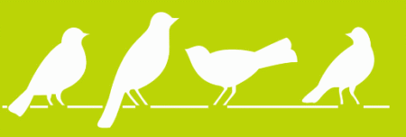 SW012 PAJARITOS 10 X 30