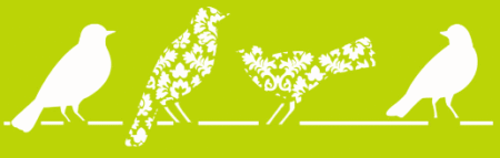 SW014 PAJARITOS 10 X 30