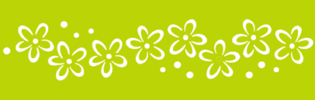 SW017 FLORES 10 X 30