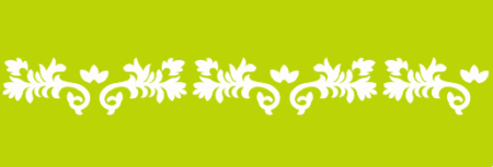 SW024 GUARDA 10 X 30