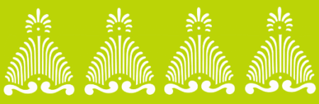 SW025 GUARDA 10 X 30