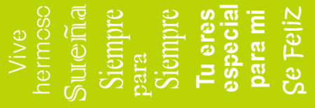 SW046 VIVE SUENA 10 X 30