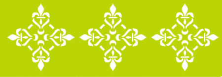 SW062 GUARDA 10 X 30