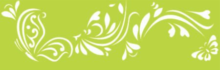 SW162 MARIPOSA 10 X 30