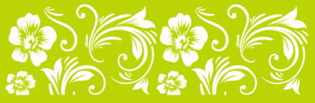 SW172 FLORES 10 X 30